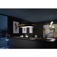 Кухонная вытяжка Franke Mythos Masterpiece FMYS F80 KL 345.0726.998 - Превью изображения №5 — Интернет-магазин ПроЗаказ