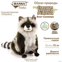 Классическая игрушка Hansa Сreation Енот-полоскун 7493 (31 см) - Превью изображения №11 — Интернет-магазин ПроЗаказ