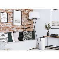 Очиститель воздуха Ballu AP-107 - Превью изображения №9 — Интернет-магазин ПроЗаказ