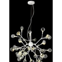 Wertmark Fiorita WE241.36.003