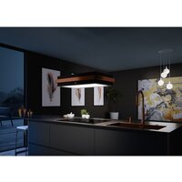 Кухонная вытяжка Franke Mythos Masterpiece FMYS F80 KL 345.0726.997 - Превью изображения №4 — Интернет-магазин ПроЗаказ