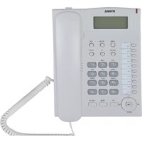 Sanyo RA-S517W