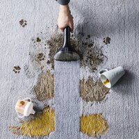 Пылесос Tefal Clean It IZ5020 - Превью изображения №7 — Интернет-магазин ПроЗаказ