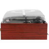 Виниловый проигрыватель Alive Audio Quattro Wood - Превью изображения №6 — Интернет-магазин ПроЗаказ