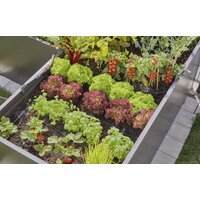 Шланг для капельного полива Gardena 13455-20 (1/2