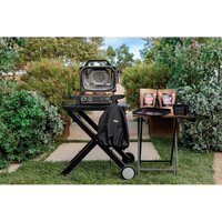 Электрогриль Ninja Woodfire OG701EU - Превью изображения №8 — Интернет-магазин ПроЗаказ