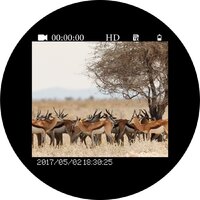 Бинокль Veber DigiView NB-02 - Превью изображения №12 — Интернет-магазин ПроЗаказ