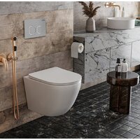 Инсталляция для унитаза Roxen StounFix Dual Fresh 832071 - Превью изображения №3 — Интернет-магазин ПроЗаказ