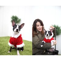 Куртка для животных Puppia Santa PDDF-SC23-RD-5L (красный) - Превью изображения №4 — Интернет-магазин ПроЗаказ