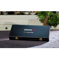 Набор ножей Samura Mo-V SM-0220 - Превью изображения №8 — Интернет-магазин ПроЗаказ