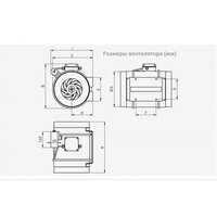 Осевой вентилятор Soler&Palau TD-1100/250 EXEIIT3 - Превью изображения №4 — Интернет-магазин ПроЗаказ