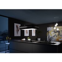 Кухонная вытяжка Franke Mythos Masterpiece FMYS F80 KL 345.0726.996 - Превью изображения №6 — Интернет-магазин ПроЗаказ