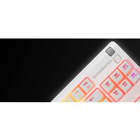 Клавиатура SteelSeries Apex 3 TKL (белый, нет кириллицы) - Превью изображения №5 — Интернет-магазин ПроЗаказ