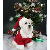 Куртка для животных Puppia Santa PDDF-SC23-RD-4L (красный) - Превью изображения №3 — Интернет-магазин ПроЗаказ