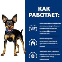 Сухой корм для собак Hill's Prescription Diet Metabolic Mini коррекция веса 605947 3 кг - Превью изображения №5 — Интернет-магазин ПроЗаказ