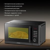 Микроволновая печь Hyundai HYM-D3012 - Превью изображения №3 — Интернет-магазин ПроЗаказ
