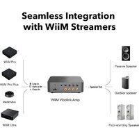 Усилитель мощности WiiM Vibelink Amp (серый) - Превью изображения №2 — Интернет-магазин ПроЗаказ
