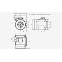 Осевой вентилятор Soler&Palau TD-1200/315 EXEIIT3 - Превью изображения №3 — Интернет-магазин ПроЗаказ