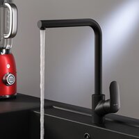 Кухонная мойка БелЭворс Styl L + Like F8005022 (черный) - Превью изображения №8 — Интернет-магазин ПроЗаказ