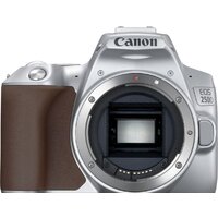 Зеркальный фотоаппарат Canon EOS 250D Kit 18-55 IS STM (серебристый) - Превью изображения №2 — Интернет-магазин ПроЗаказ