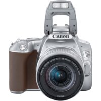 Зеркальный фотоаппарат Canon EOS 250D Kit 18-55 IS STM (серебристый) - Превью изображения №9 — Интернет-магазин ПроЗаказ