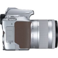 Зеркальный фотоаппарат Canon EOS 250D Kit 18-55 IS STM (серебристый) - Превью изображения №7 — Интернет-магазин ПроЗаказ