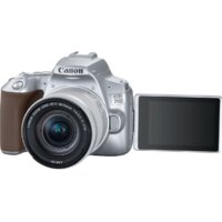 Зеркальный фотоаппарат Canon EOS 250D Kit 18-55 IS STM (серебристый) - Превью изображения №5 — Интернет-магазин ПроЗаказ