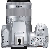 Зеркальный фотоаппарат Canon EOS 250D Kit 18-55 IS STM (серебристый) - Превью изображения №8 — Интернет-магазин ПроЗаказ