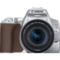 Canon EOS 250D Kit 18-55 IS STM (серебристый)