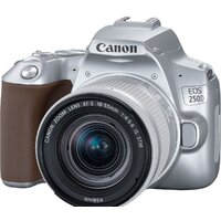 Зеркальный фотоаппарат Canon EOS 250D Kit 18-55 IS STM (серебристый) - Превью изображения №3 — Интернет-магазин ПроЗаказ
