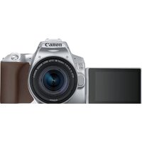 Зеркальный фотоаппарат Canon EOS 250D Kit 18-55 IS STM (серебристый) - Превью изображения №4 — Интернет-магазин ПроЗаказ