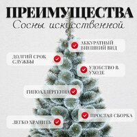 Сосна Erbis Темная с белыми кончиками 180 - Превью изображения №5 — Интернет-магазин ПроЗаказ