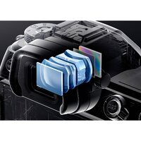 Беззеркальный фотоаппарат Nikon Z6 III Body - Превью изображения №14 — Интернет-магазин ПроЗаказ