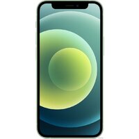 Смартфон Apple iPhone 12 mini 256GB Восстановленный by Breezy, грейд B (зеленый) - Превью изображения №2 — Интернет-магазин ПроЗаказ