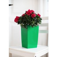 Кашпо GardenPlast Жасмин 1.5 л (графит) - Превью изображения №2 — Интернет-магазин ПроЗаказ