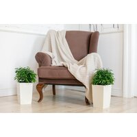 Кашпо GardenPlast Жасмин 1.5 л (графит) - Превью изображения №7 — Интернет-магазин ПроЗаказ