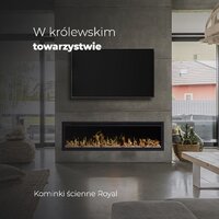 Электрокамин Aflamo Royal 100 - Превью изображения №2 — Интернет-магазин ПроЗаказ