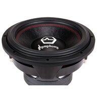 Головка сабвуфера Урал Symphony 12 - Превью изображения №3 — Интернет-магазин ПроЗаказ