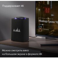Умная колонка Яндекс Станция Макс (с хабом умного дома Zigbee, графит) - Превью изображения №5 — Интернет-магазин ПроЗаказ