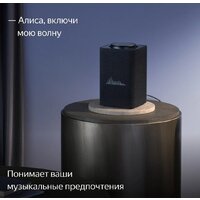 Умная колонка Яндекс Станция Макс (с хабом умного дома Zigbee, графит) - Превью изображения №9 — Интернет-магазин ПроЗаказ