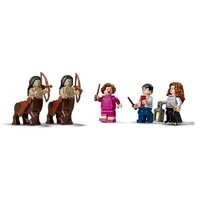 Конструктор LEGO Harry Potter 75967 Запретный лес: Грохх и Долорес Амбридж - Превью изображения №4 — Интернет-магазин ПроЗаказ