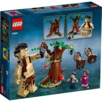 Конструктор LEGO Harry Potter 75967 Запретный лес: Грохх и Долорес Амбридж - Превью изображения №2 — Интернет-магазин ПроЗаказ