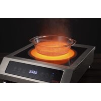 Настольная плита Iplate MONA 3500 - Превью изображения №5 — Интернет-магазин ПроЗаказ