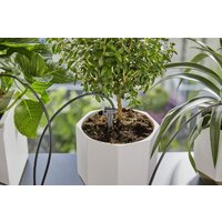 Шланг для капельного полива Gardena 13366-20 (30 м) - Превью изображения №5 — Интернет-магазин ПроЗаказ