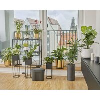 Шланг для капельного полива Gardena 13366-20 (30 м) - Превью изображения №3 — Интернет-магазин ПроЗаказ