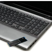 SSD PNY CS900 1TB M280CS900-1TB-RB - Превью изображения №3 — Интернет-магазин ПроЗаказ