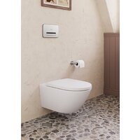 Сиденье для унитаза Villeroy & Boch Subway 3.0 8M42S1T1 - Превью изображения №6 — Интернет-магазин ПроЗаказ