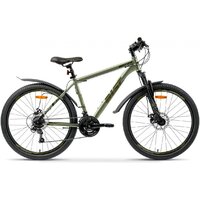 AIST Quest Disc 26 р.20 2026 (зеленый)