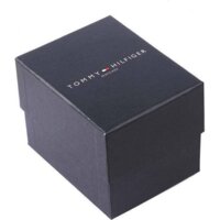 Наручные часы Tommy Hilfiger Ryder 1710499 - Превью изображения №4 — Интернет-магазин ПроЗаказ