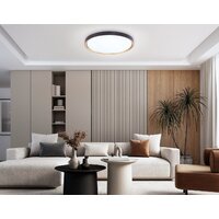 Припотолочная люстра Ambrella light Orbital FZ1249 BK/GD (черный/золото) - Превью изображения №6 — Интернет-магазин ПроЗаказ